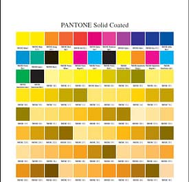 Palette de couleur pantone 